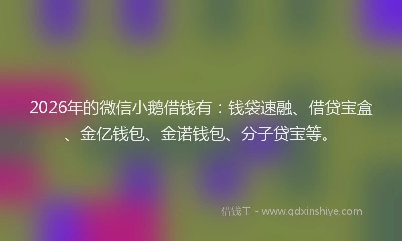 2026年的微信小鹅借钱有：钱袋速融、借贷宝盒、金亿钱包、金诺钱包、分子贷宝等。