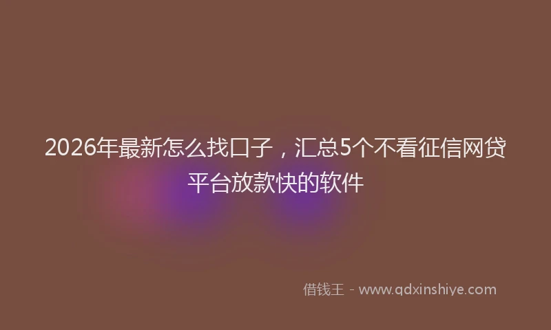 2026年最新怎么找口子，汇总5个不看征信网贷平台放款快的软件
