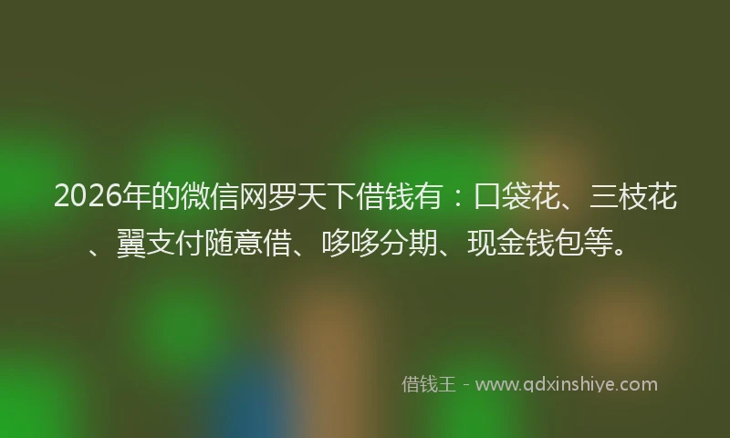 2026年的微信网罗天下借钱有：口袋花、三枝花、翼支付随意借、哆哆分期、现金钱包等。