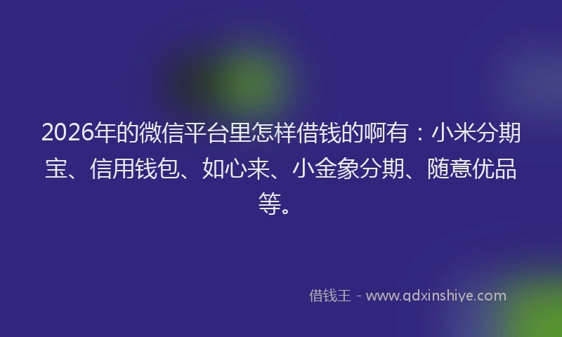 2026年的微信平台里怎样借钱的啊有：小米分期宝、信用钱包、如心来、小金象分期、随意优品等。