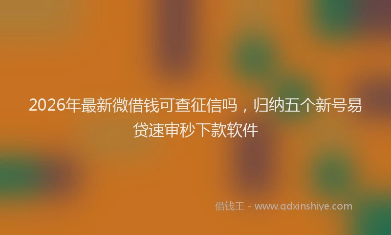 2026年最新微借钱可查征信吗，归纳五个新号易贷速审秒下款软件