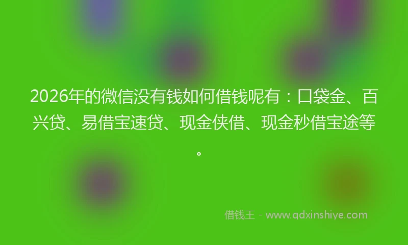 2026年的微信没有钱如何借钱呢有：口袋金、百兴贷、易借宝速贷、现金侠借、现金秒借宝途等。
