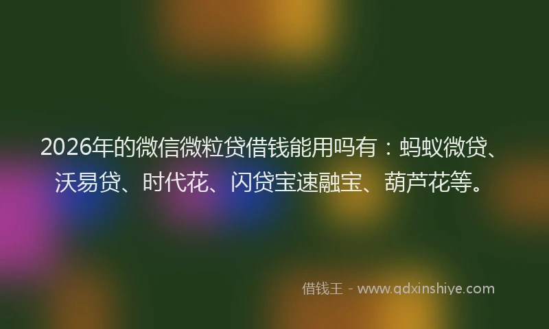 2026年的微信微粒贷借钱能用吗有：蚂蚁微贷、沃易贷、时代花、闪贷宝速融宝、葫芦花等。