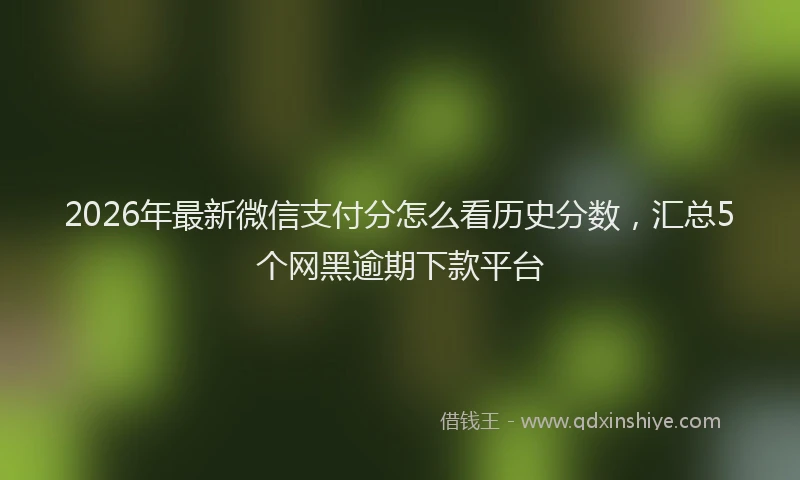 2026年最新微信支付分怎么看历史分数，汇总5个网黑逾期下款平台