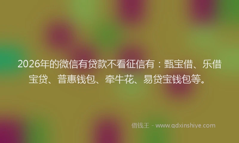 2026年的微信有贷款不看征信有：甄宝借、乐借宝贷、普惠钱包、牵牛花、易贷宝钱包等。