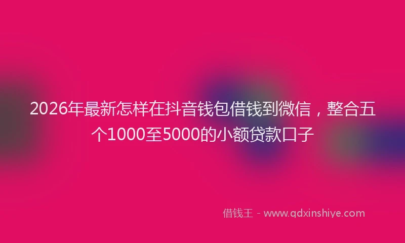 2026年最新怎样在抖音钱包借钱到微信，整合五个1000至5000的小额贷款口子