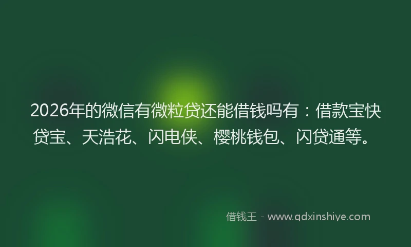 2026年的微信有微粒贷还能借钱吗有：借款宝快贷宝、天浩花、闪电侠、樱桃钱包、闪贷通等。