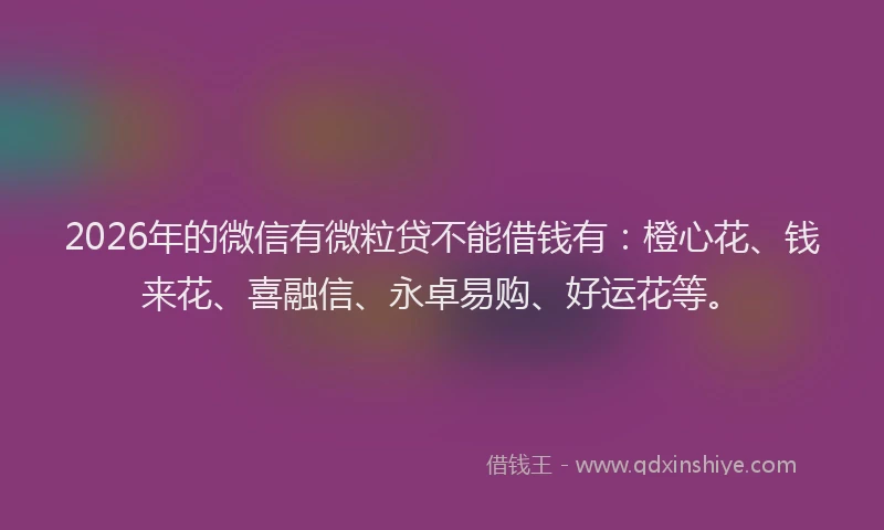2026年的微信有微粒贷不能借钱有：橙心花、钱来花、喜融信、永卓易购、好运花等。