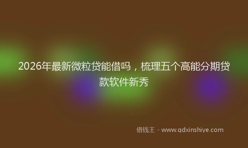 2026年最新微粒贷能借吗，梳理五个高能分期贷款软件新秀