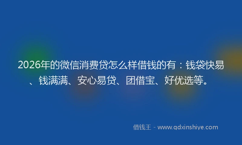 2026年的微信消费贷怎么样借钱的有：钱袋快易、钱满满、安心易贷、团借宝、好优选等。
