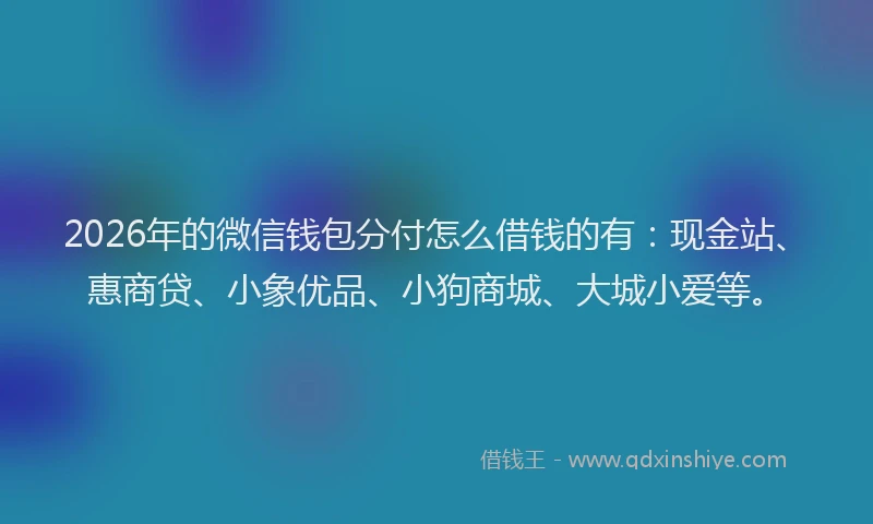 2026年的微信钱包分付怎么借钱的有：现金站、惠商贷、小象优品、小狗商城、大城小爱等。