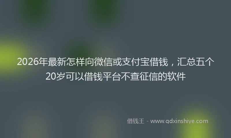 2026年最新怎样向微信或支付宝借钱，汇总五个20岁可以借钱平台不查征信的软件