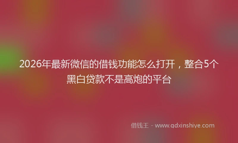 2026年最新微信的借钱功能怎么打开，整合5个黑白贷款不是高炮的平台
