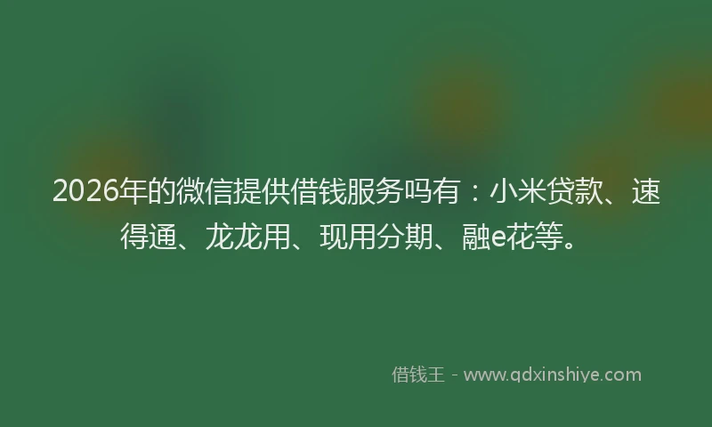 2026年的微信提供借钱服务吗有：小米贷款、速得通、龙龙用、现用分期、融e花等。