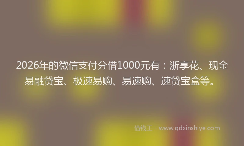 2026年的微信支付分借1000元有：浙享花、现金易融贷宝、极速易购、易速购、速贷宝盒等。