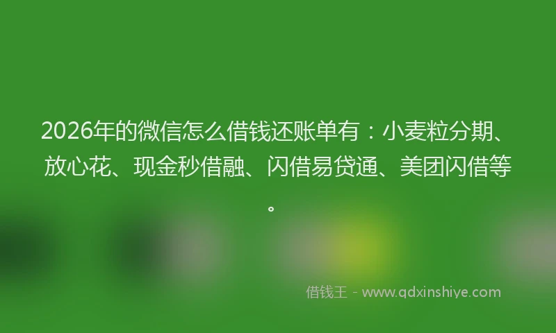 2026年的微信怎么借钱还账单有：小麦粒分期、放心花、现金秒借融、闪借易贷通、美团闪借等。
