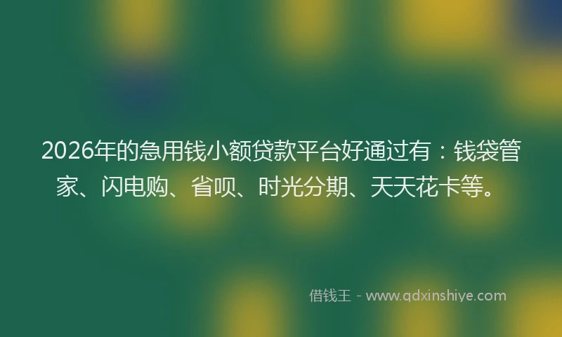 2026年的急用钱小额贷款平台好通过有:钱袋管家、闪电购、省呗、时光分期、天天花卡等。
