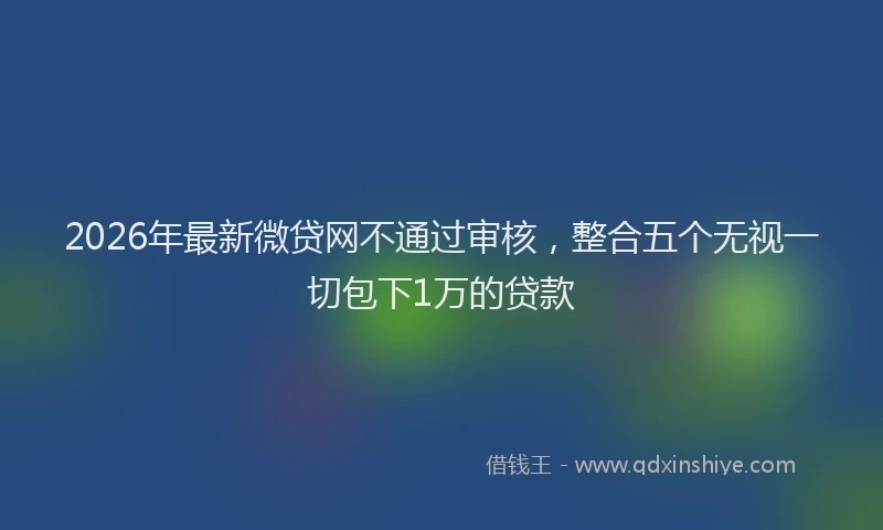 2026年最新微贷网不通过审核，整合五个无视一切包下1万的贷款