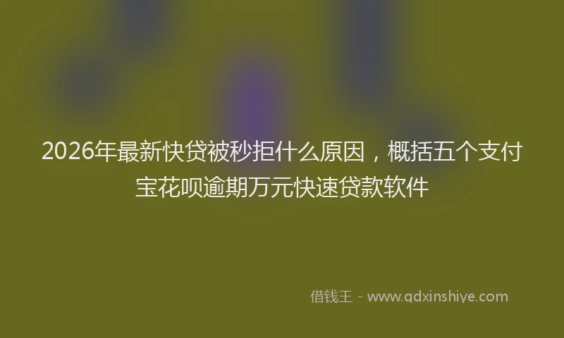 2026年最新快贷被秒拒什么原因，概括五个支付宝花呗逾期万元快速贷款软件