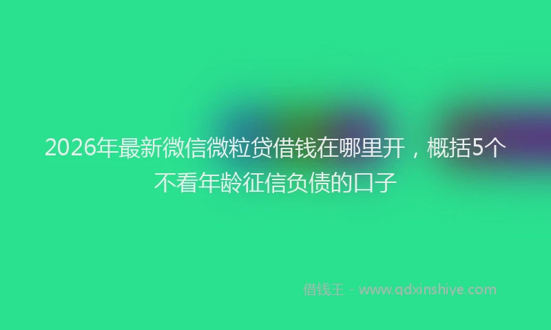 2026年最新微信微粒贷借钱在哪里开，概括5个不看年龄征信负债的口子
