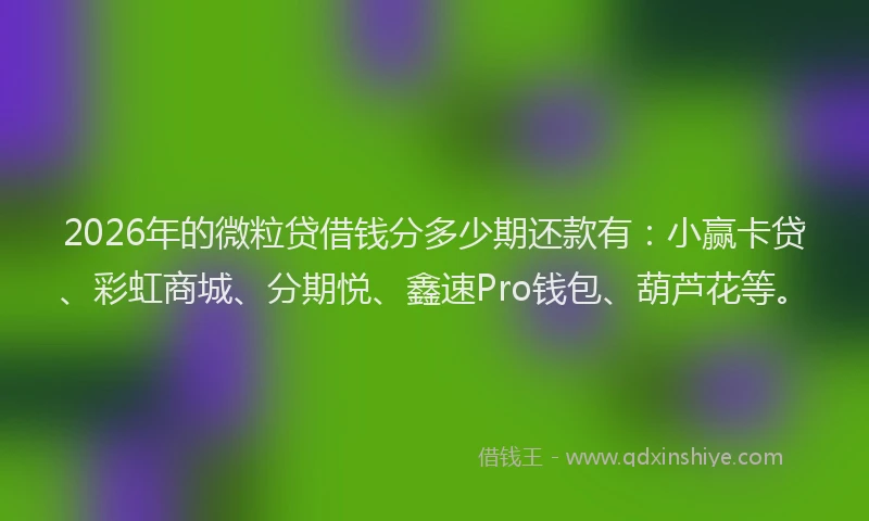 2026年的微粒贷借钱分多少期还款有：小赢卡贷、彩虹商城、分期悦、鑫速Pro钱包、葫芦花等。