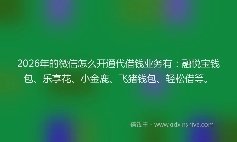 2026年的微信怎么开通代借钱业务有：融悦宝钱包、乐享花、小金鹿、飞猪钱包、轻松借等。