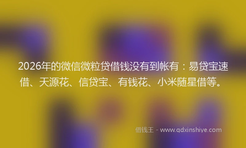 2026年的微信微粒贷借钱没有到帐有：易贷宝速借、天源花、信贷宝、有钱花、小米随星借等。