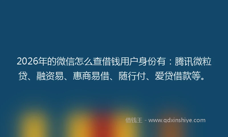 2026年的微信怎么查借钱用户身份有：腾讯微粒贷、融资易、惠商易借、随行付、爱贷借款等。