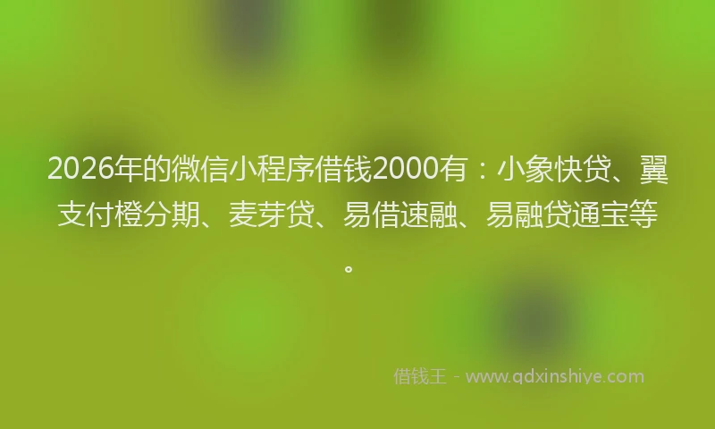 2026年的微信小程序借钱2000有：小象快贷、翼支付橙分期、麦芽贷、易借速融、易融贷通宝等。