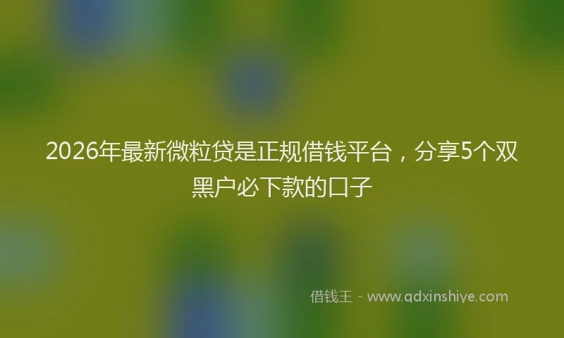 2026年最新微粒贷是正规借钱平台，分享5个双黑户必下款的口子