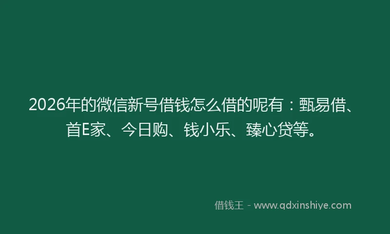 2026年的微信新号借钱怎么借的呢有：甄易借、首E家、今日购、钱小乐、臻心贷等。