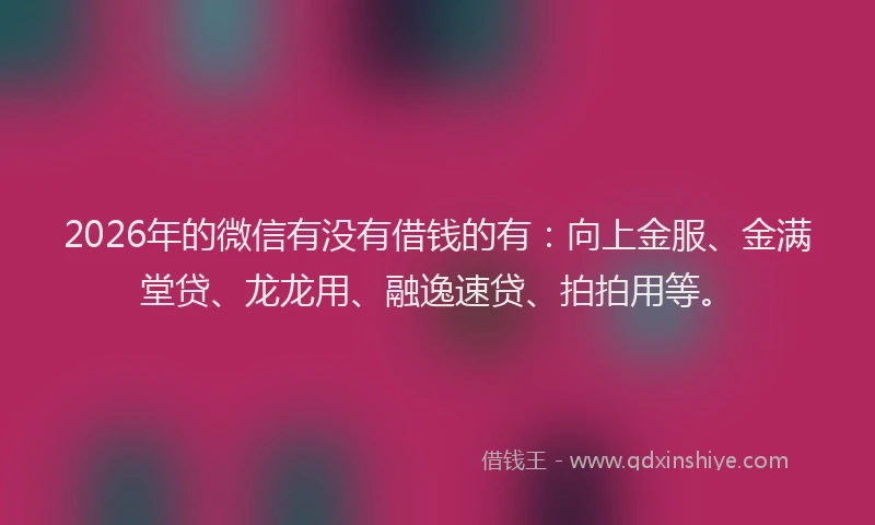 2026年的微信有没有借钱的有：向上金服、金满堂贷、龙龙用、融逸速贷、拍拍用等。