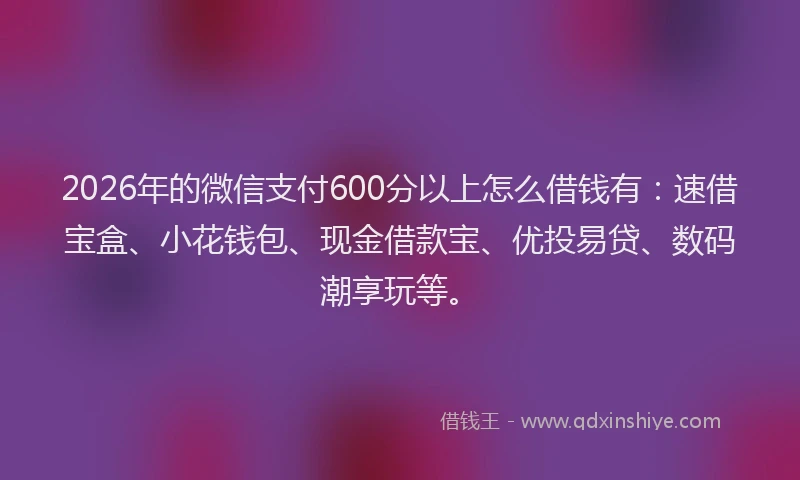 2026年的微信支付600分以上怎么借钱有：速借宝盒、小花钱包、现金借款宝、优投易贷、数码潮享玩等。