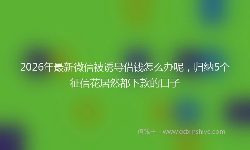 2026年最新微信被诱导借钱怎么办呢，归纳5个征信花居然都下款的口子