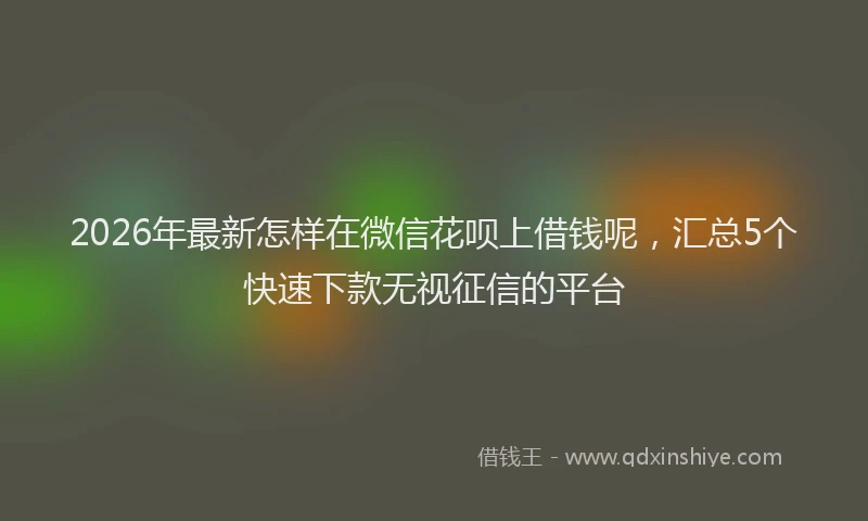 2026年最新怎样在微信花呗上借钱呢，汇总5个快速下款无视征信的平台