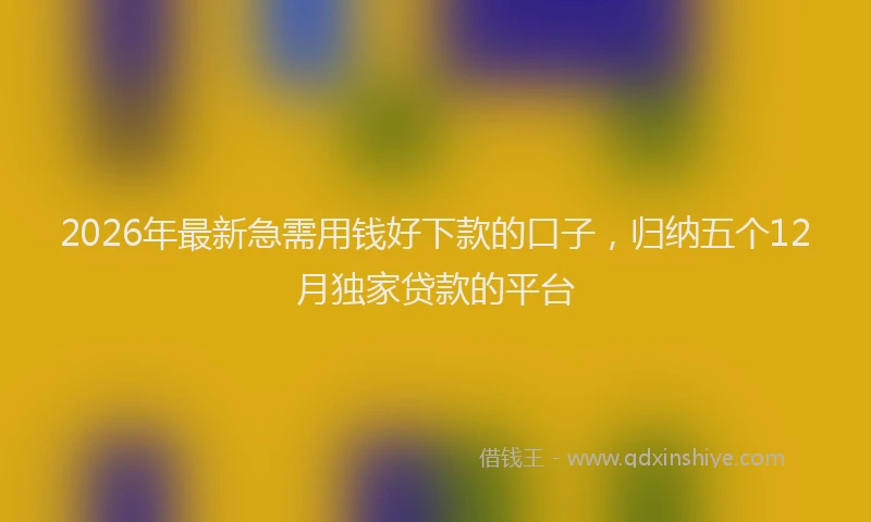 2026年最新急需用钱好下款的口子，归纳五个12月独家贷款的平台