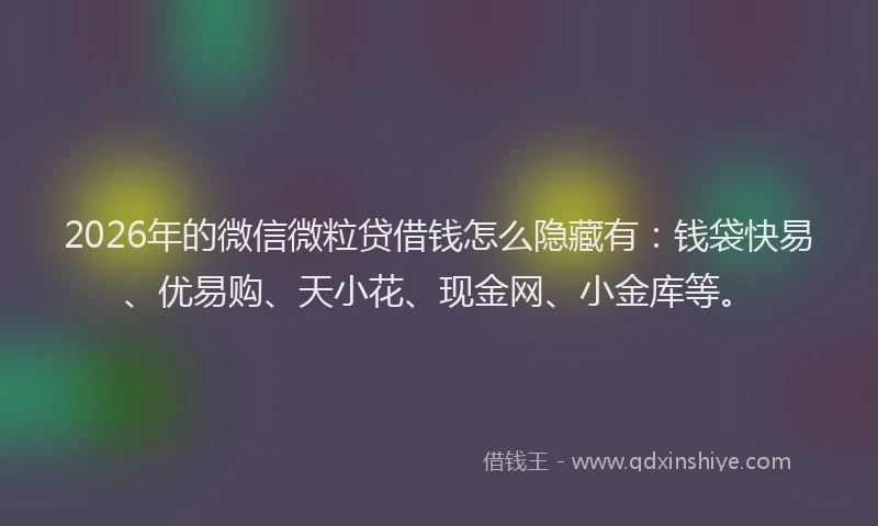 2026年的微信微粒贷借钱怎么隐藏有：钱袋快易、优易购、天小花、现金网、小金库等。