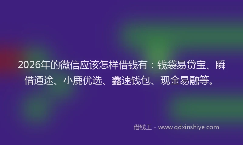 2026年的微信应该怎样借钱有：钱袋易贷宝、瞬借通途、小鹿优选、鑫速钱包、现金易融等。