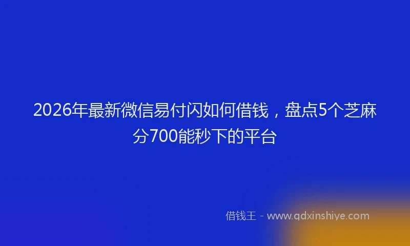 2026年最新微信易付闪如何借钱，盘点5个芝麻分700能秒下的平台