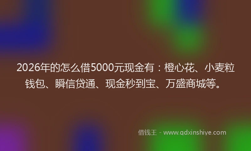 2026年的怎么借5000元现金有：橙心花、小麦粒钱包、瞬信贷通、现金秒到宝、万盛商城等。