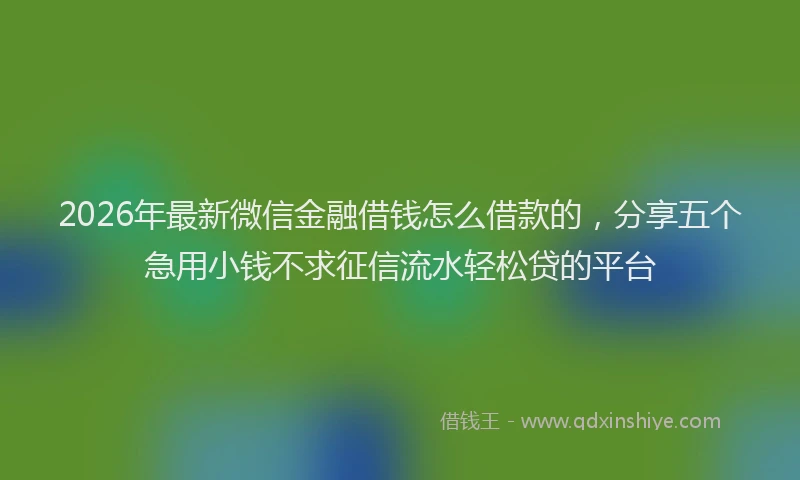 2026年最新微信金融借钱怎么借款的，分享五个急用小钱不求征信流水轻松贷的平台