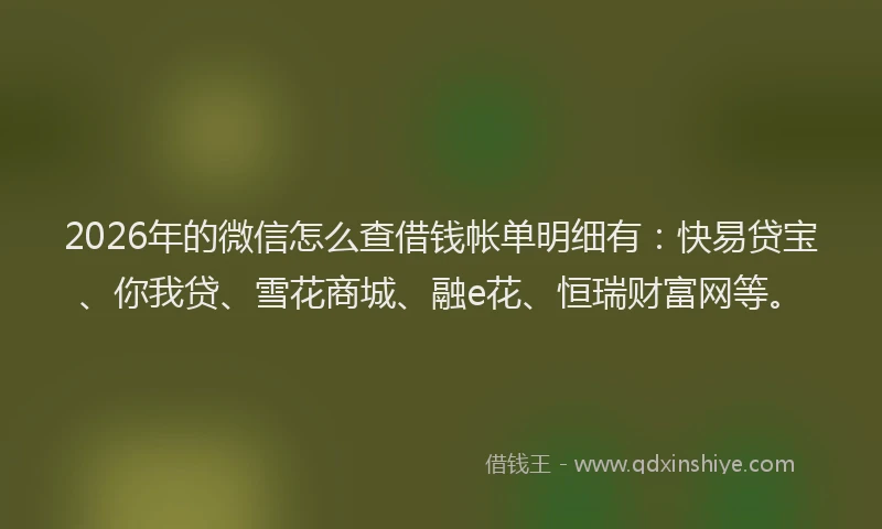 2026年的微信怎么查借钱帐单明细有：快易贷宝、你我贷、雪花商城、融e花、恒瑞财富网等。