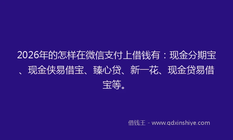 2026年的怎样在微信支付上借钱有：现金分期宝、现金侠易借宝、臻心贷、新一花、现金贷易借宝等。