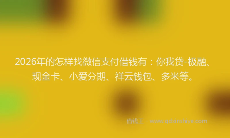 2026年的怎样找微信支付借钱有:你我贷-极融、现金卡、小爱分期、祥云钱包、多米等。