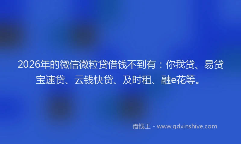 2026年的微信微粒贷借钱不到有：你我贷、易贷宝速贷、云钱快贷、及时租、融e花等。