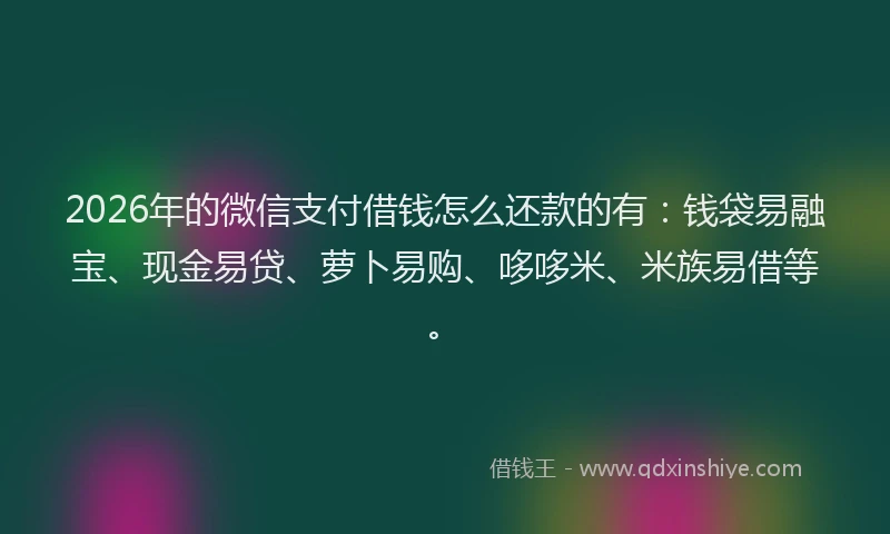 2026年的微信支付借钱怎么还款的有：钱袋易融宝、现金易贷、萝卜易购、哆哆米、米族易借等。