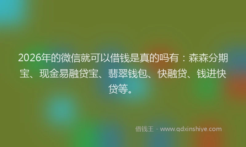2026年的微信就可以借钱是真的吗有：森森分期宝、现金易融贷宝、翡翠钱包、快融贷、钱进快贷等。