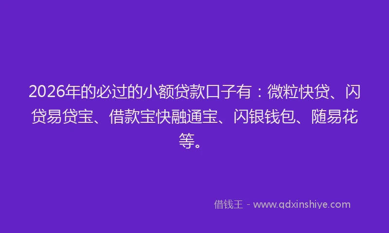 2026年的必过的小额贷款口子有：微粒快贷、闪贷易贷宝、借款宝快融通宝、闪银钱包、随易花等。