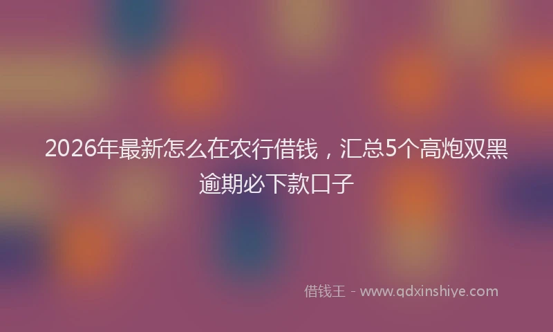 2026年最新怎么在农行借钱，汇总5个高炮双黑逾期必下款口子