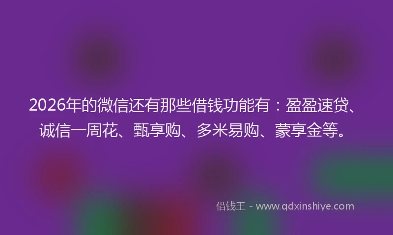 2026年的微信还有那些借钱功能有：盈盈速贷、诚信一周花、甄享购、多米易购、蒙享金等。